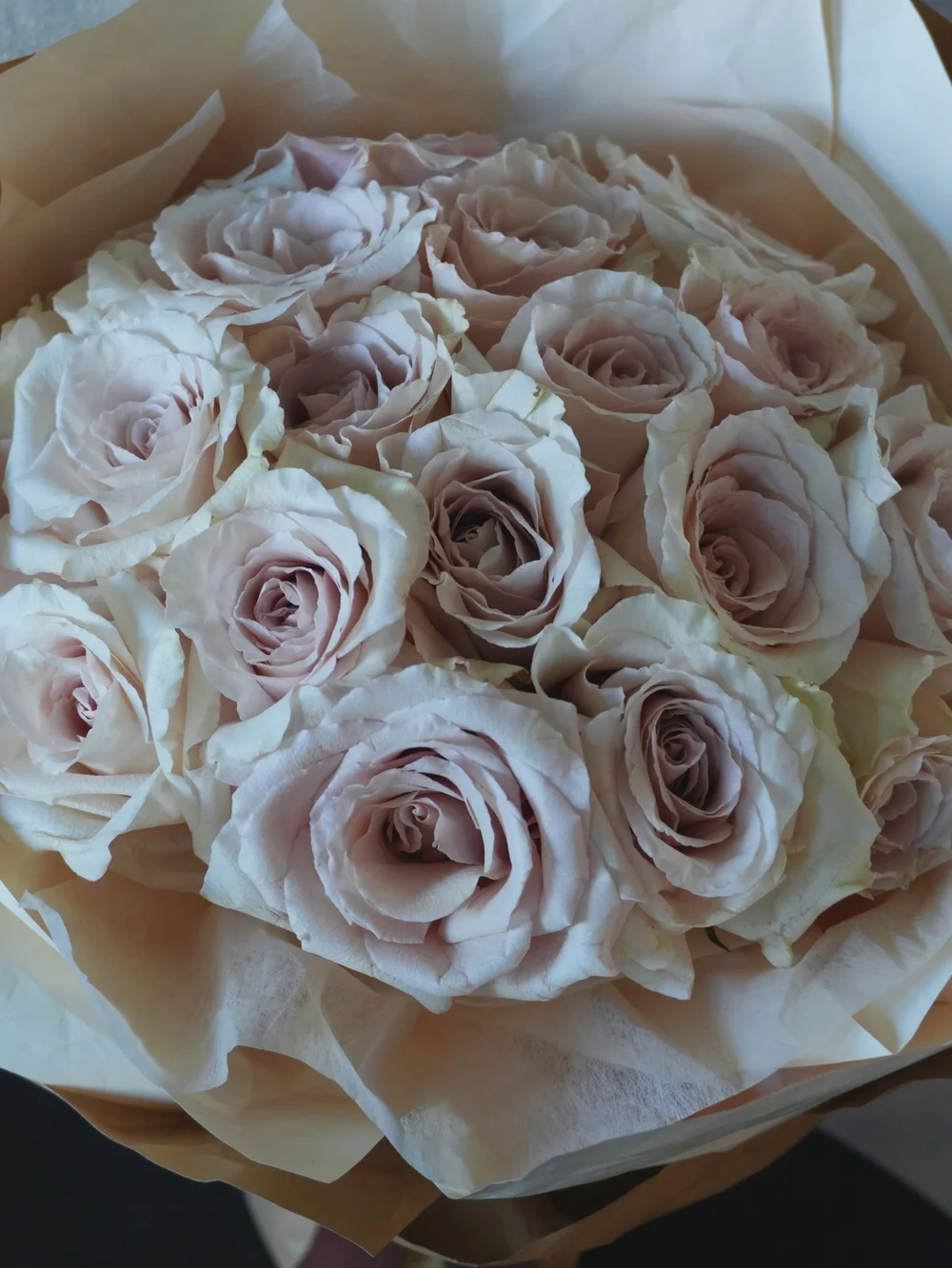Quicksand Roses | Blush Rose Bouquet with Pleated Wrap | Los